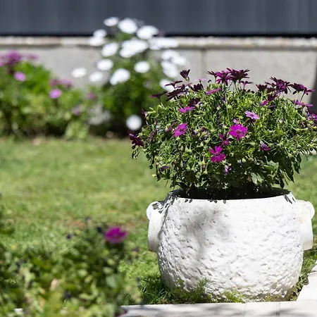 Moderni Accommodatie bij particulieren