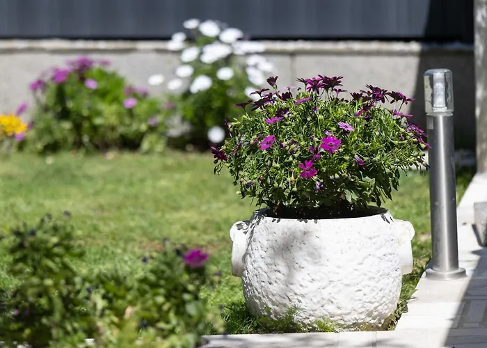 Moderni בית אירוח